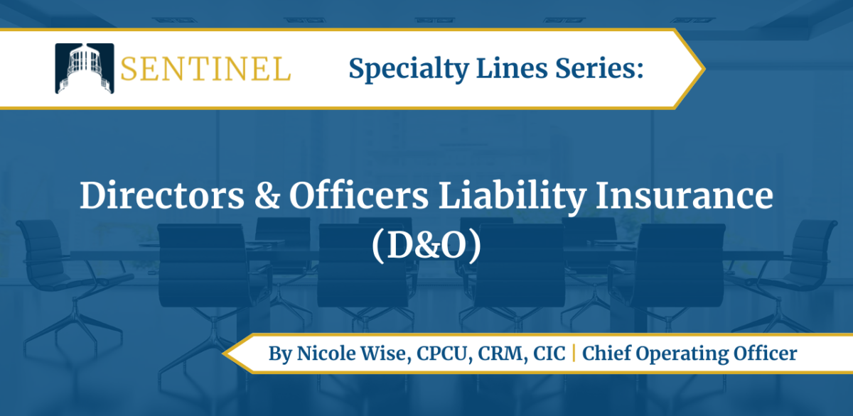 A Closer Look At Directors and Officers Liability Insurance (D&O ...